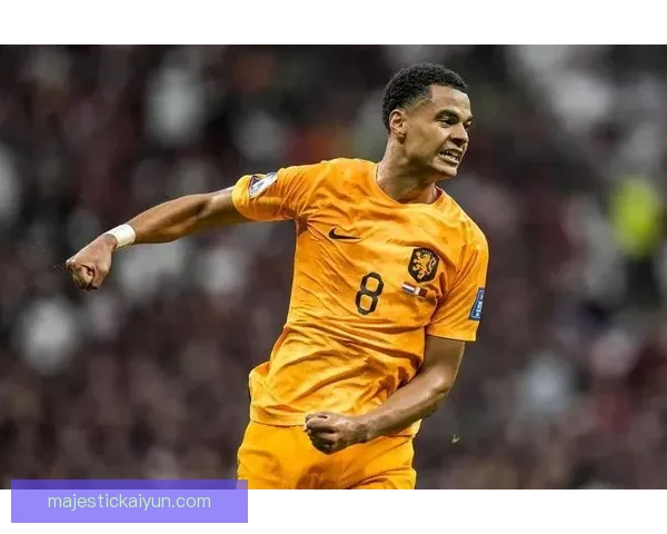 荷兰加克波锋线新星状态回暖，值得关注未来表现