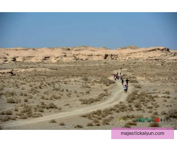 Osimhen 在 4-3-3 阵型中的角色和核心影响力分析